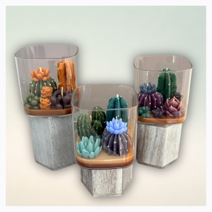 Succulent Garden Candles